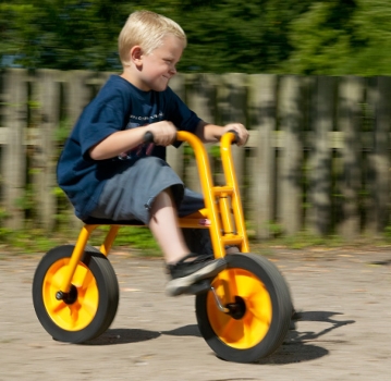 Preview: Maxi Zweird 7034