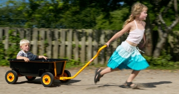 Preview: Rabo Spielwagen 7036